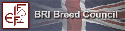 FIFe-BRI-BC banner